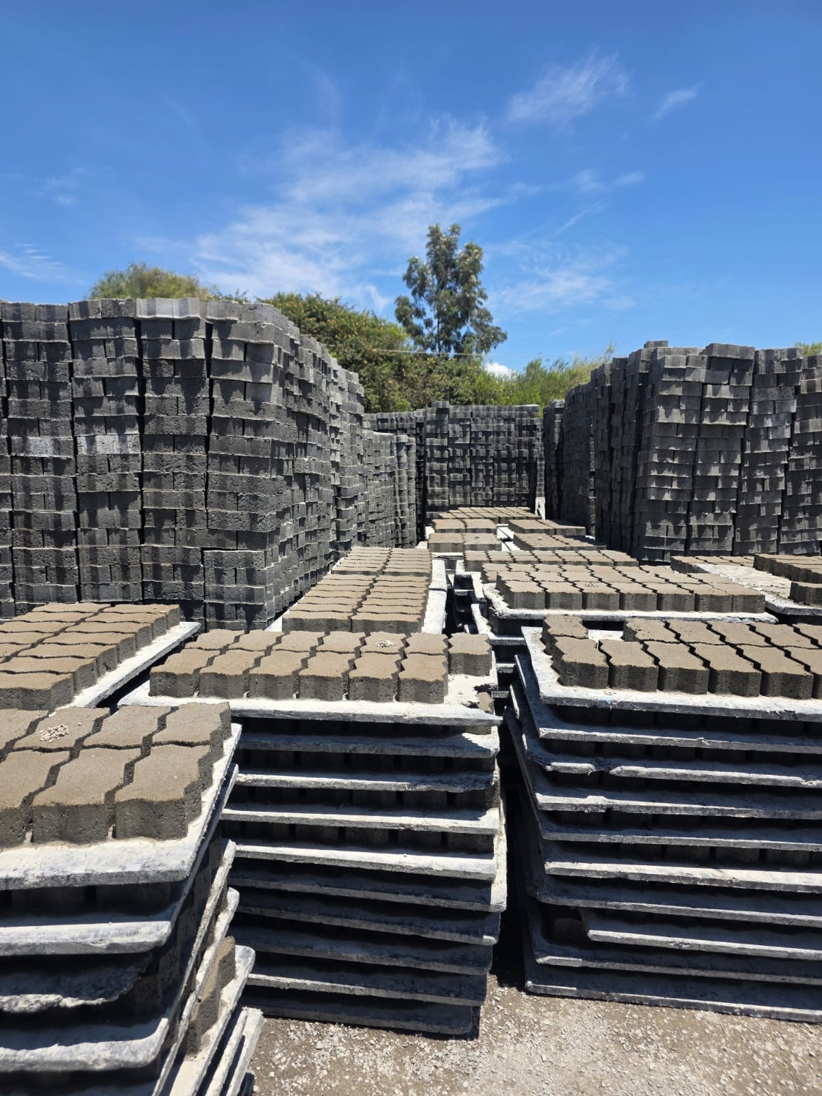 UCB Uni Paver interlocking concrete blocks on manufacturing trays at the Unique Concrete Blocks yard in Kenya